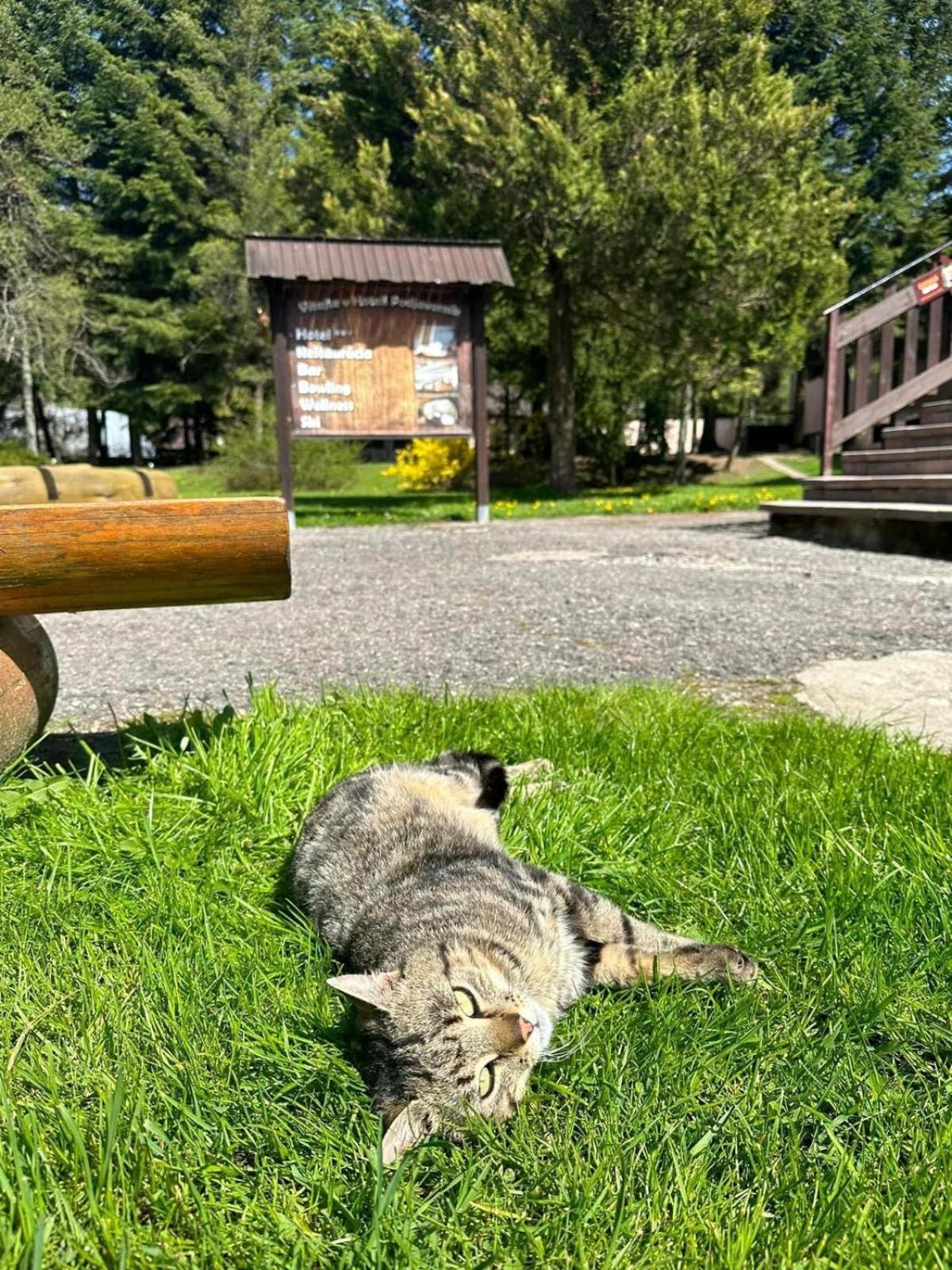 Horsky Hotel Podjavornik Papradno ภายนอก รูปภาพ